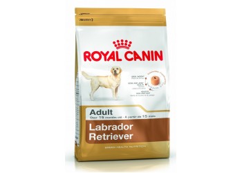 Royal Canin Labrador Retriever Adult 30 da kg 12 OFFERTA !!!